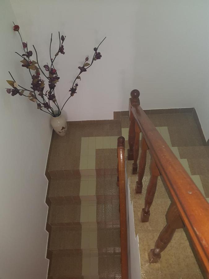 Sobe I Apartmani Marovic Petrovac Exteriör bild
