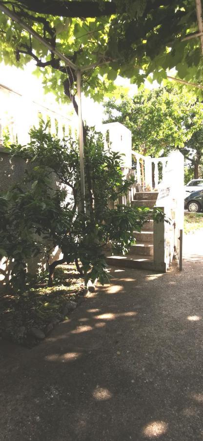 Sobe I Apartmani Marovic Petrovac Exteriör bild